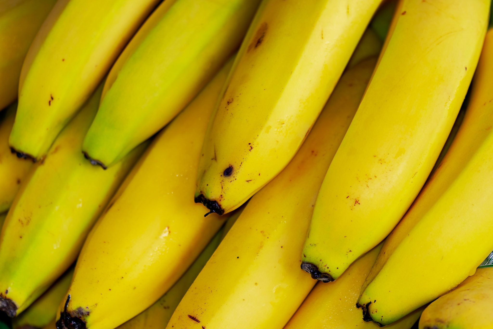 Bananas - 10 nautical and sailing superstitions