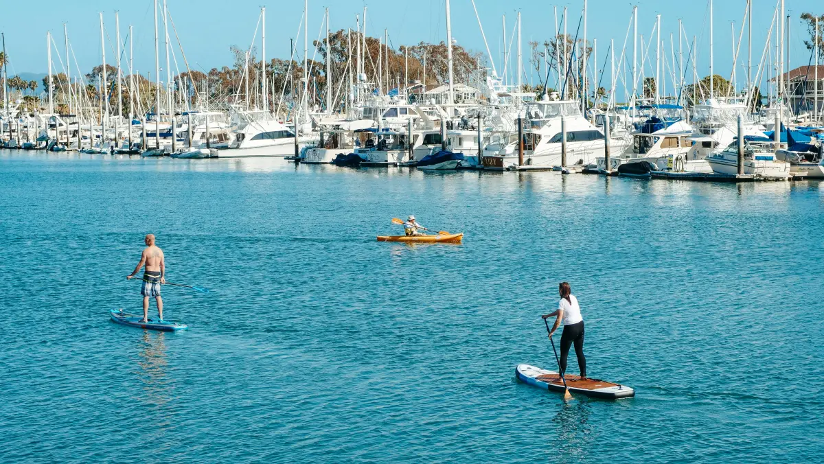 Outdoor lovers enjoying a paddleboarding session