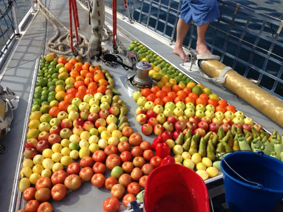 Bring on fruit and veg in Las Palmas before the start of the ARC